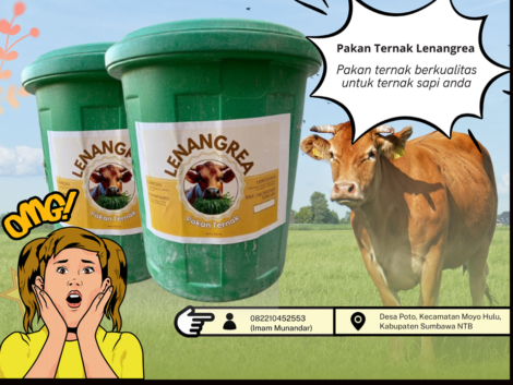 WhatsApp Image 2024-08-23 at 15.20